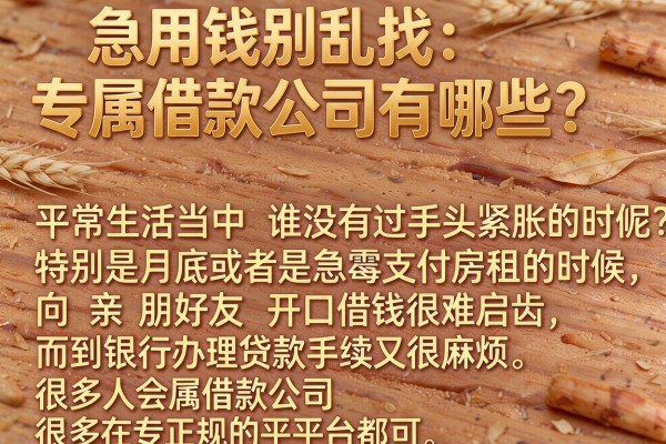 急用钱别乱找：专属借款公司有哪些？整理了这十个靠谱口子