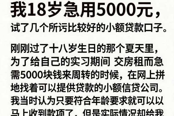 我18岁急用5000元，试了几个所谓比较好的小额贷款口子，发现真相和我想的不一样