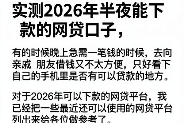 实测2026年半夜能下款的网贷口子，这几个审核快