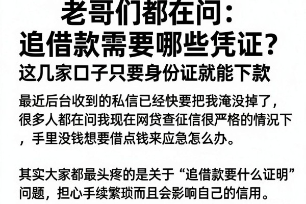 老哥们都在问：追借款需要哪些凭证？这几家口子只要身份证就能下款