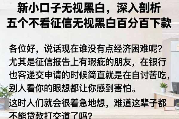 新小口子无视黑白，深入剖析五个不看征信无视黑白百分百下款