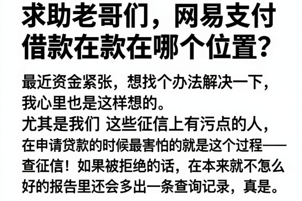 求助老哥们，网易支付借款在哪个位置？顺便分享几个不查征信的应急口子
