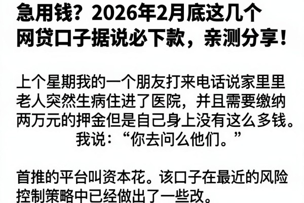 急用钱？2026年2月底这几个网贷口子据说必下款，亲测分享！