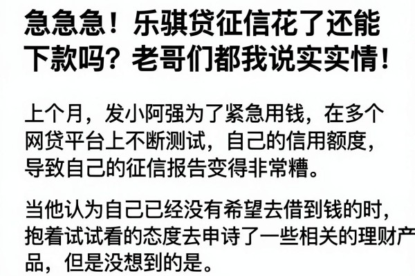 急急急！乐骐贷征信花了还能下款吗？老哥们都来说说实情！