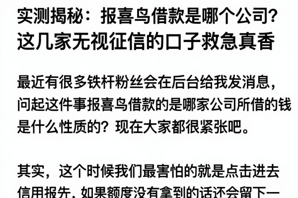 实测揭秘：报喜鸟借款是哪个公司？这几家无视征信的口子救急真香