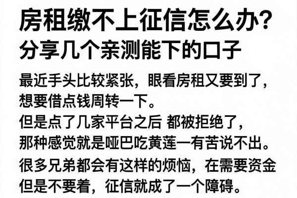 房租缴不上征信怎么办？分享几个亲测能下的口子