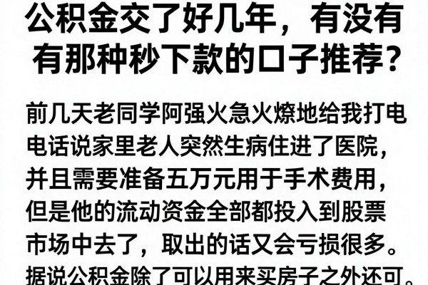 公积金交了好几年，有没有那种秒下款的口子推荐？
