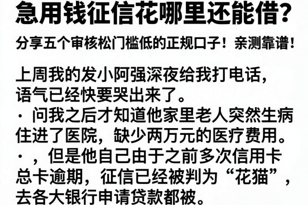 急用钱征信花哪里还能借？分享五个审核松门槛低的正规口子，亲测靠谱！