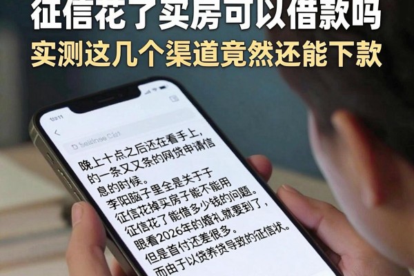 征信花了买房可以借款吗，实测这几个渠道竟然还能下款