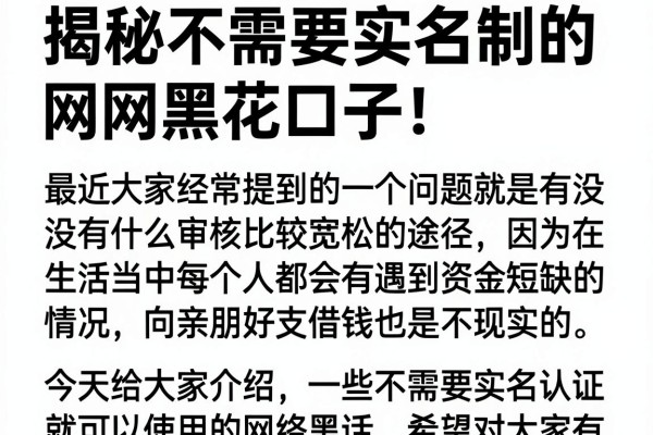 揭秘不需要实名制的网黑花口子，这几个审核宽松
