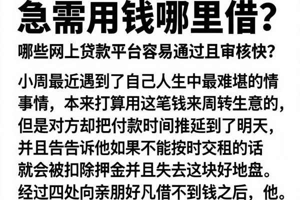 急需用钱哪里借？哪些网上贷款平台容易通过且审核快？
