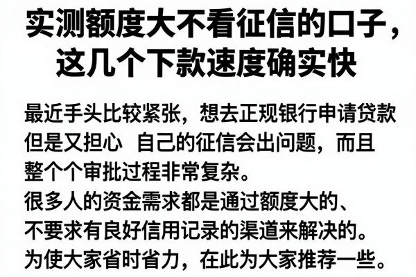 实测额度大不看征信的口子，这几个下款速度确实快