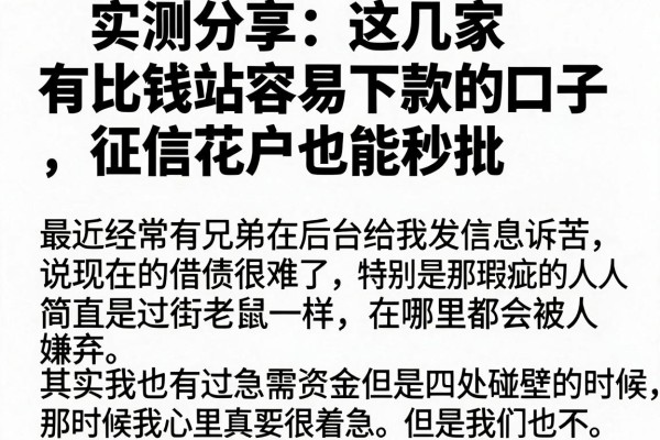 实测分享：这几家有比钱站容易下款的口子，征信花户也能秒批