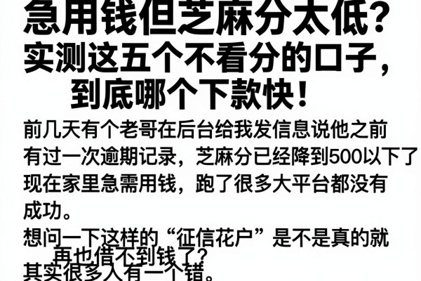 急用钱但芝麻分太低？实测这五个不看分的口子，到底哪个下款快！