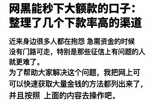 网黑能秒下大额款的口子：整理了几个下款率高的渠道