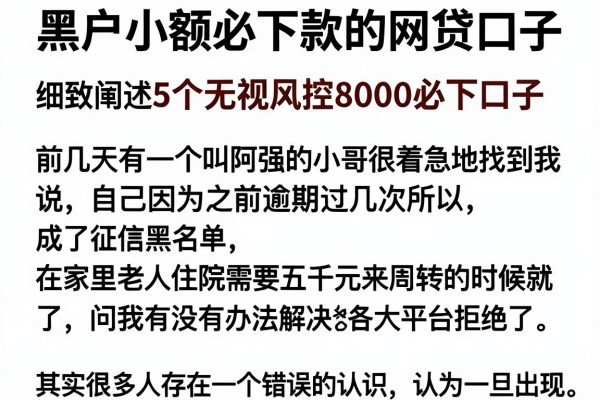 黑户小额必下款的网贷口子，细致阐述5个无视风控8000必下口子