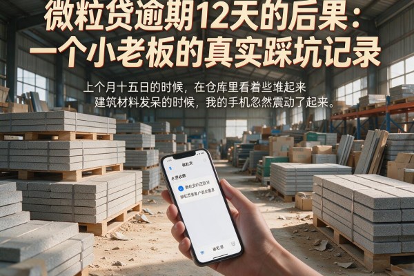 微粒贷逾期12天的后果：一个小老板的真实踩坑记录