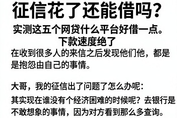 征信花了还能借吗？实测这五个网贷什么平台好借一点，下款速度绝了