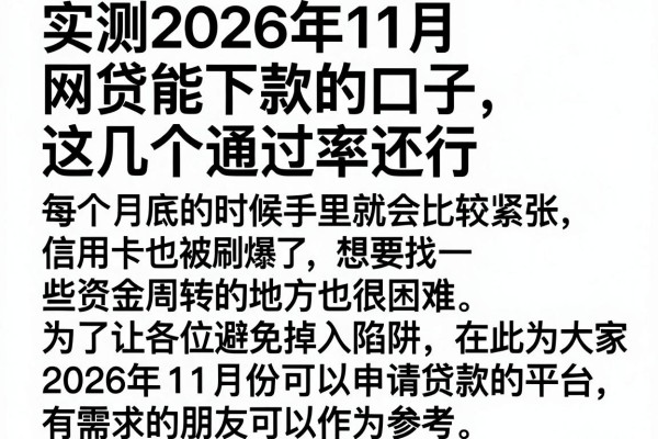 实测2026年11月网贷能下款的口子,这几个通过率还行