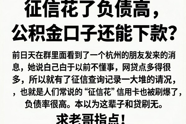 征信花了负债高，听说2026年这几个公积金口子还能下款？求老哥指点！