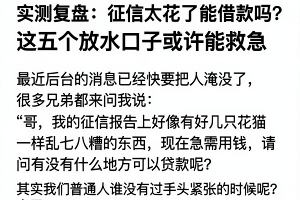实测复盘：征信太花了能借款吗？这五个放水口子或许能救急