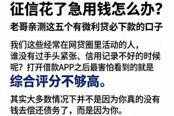 征信花了急用钱怎么办?老哥亲测这五个有微利贷必下款的口子