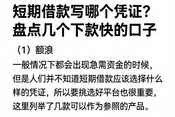 短期借款写哪个凭证?盘点几个下款快的口子
