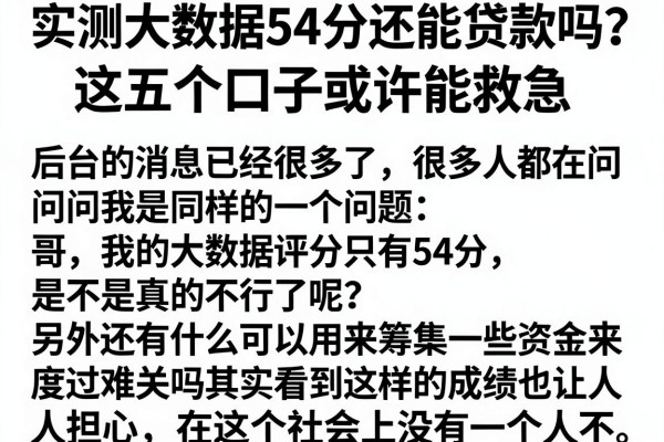实测大数据54分还能贷款吗？这五个口子或许能救急