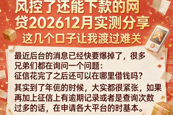 风控了还能下款的网贷202612月实测分享，这几个口子让我渡过难关