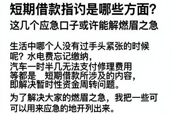短期借款指的是哪些方面？这几个应急口子或许能解燃眉之急
