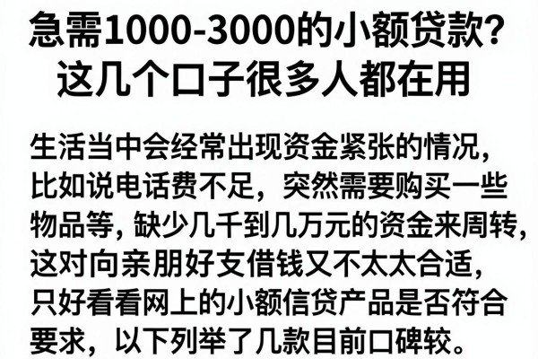 急需1000-3000的小额贷款？这几个口子很多人都在用