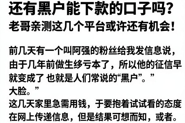 还有黑户能下款的口子吗？老哥亲测这几个平台或许还有机会！