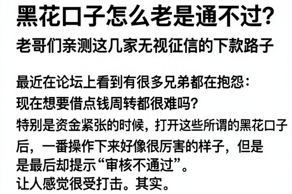 黑花口子怎么老是通不过？老哥们亲测这几家无视征信的下款路子