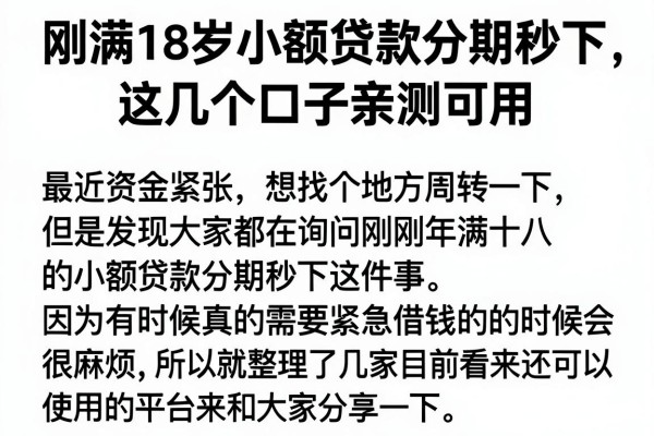 刚满18岁小额贷款分期秒下，这几个口子亲测可用