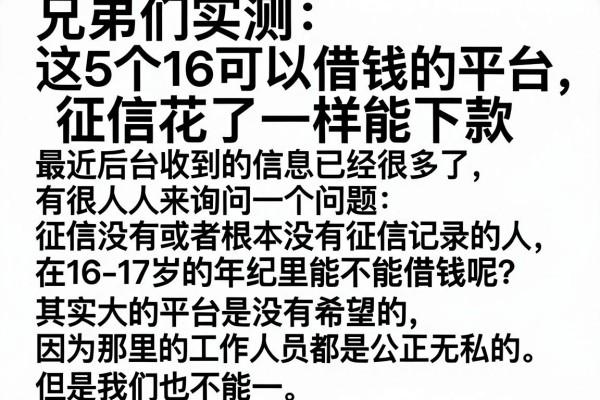 兄弟们实测:这5个16可以借钱的平台,征信花了一样能下款