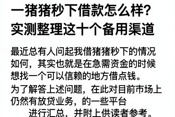 猪猪秒下借款怎么样？实测整理这十个备用渠道