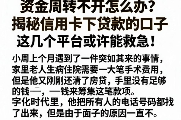 资金周转不开怎么办？揭秘信用卡下贷款的口子，这几个平台或许能救急！