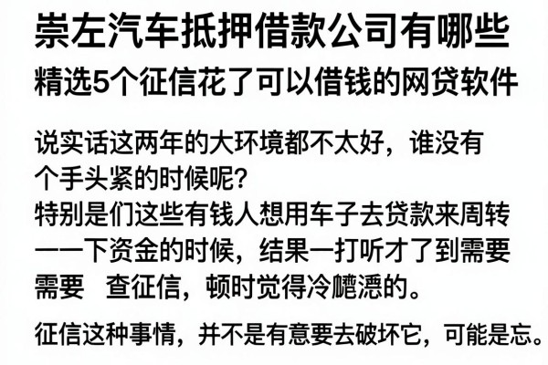 崇左汽车抵押借款公司有哪些，精选5个征信花了可以借钱的网贷软件