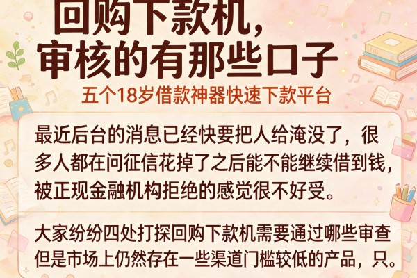 回购下款机审核的有那些口子，细致阐述五个18岁借款神器快速下款平台