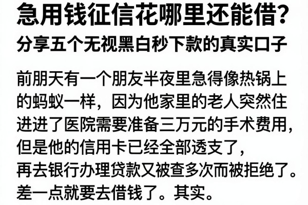 急用钱征信花哪里还能借？分享五个无视黑白秒下款的真实口子