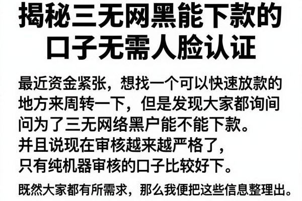 揭秘三无网黑能下款的口子无需人脸认证，通过率实测