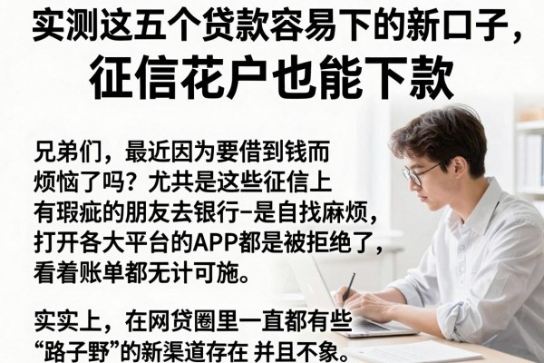 实测这五个贷款容易下的新口子，征信花户也能下款