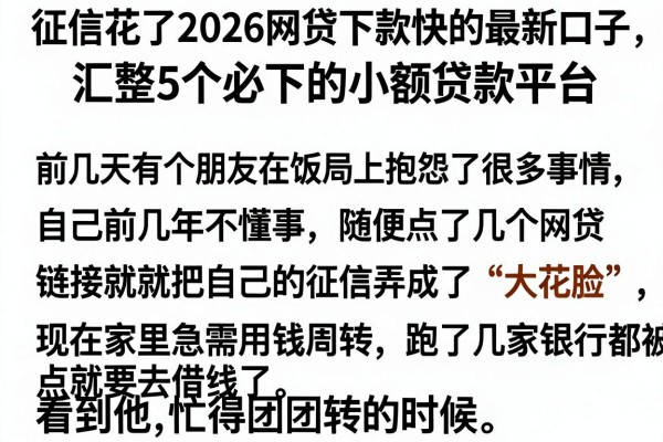 征信花了2026网贷下款快的最新口子，汇整5个必下的小额贷款平台