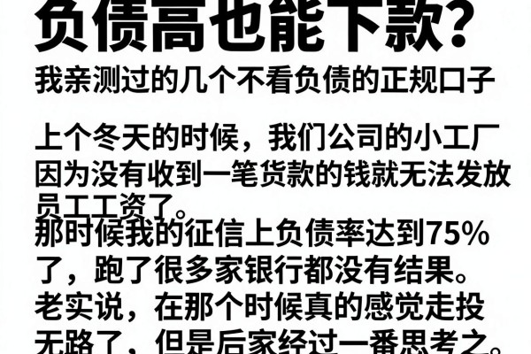 负债高也能下款？我亲测过的几个不看负债的正规口子