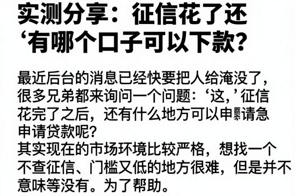 实测分享：征信花了还有哪个口子可以下款？这5个渠道或许能救急