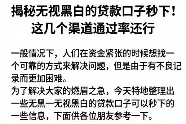 揭秘无视黑白的贷款口子秒下，这几个渠道通过率还行