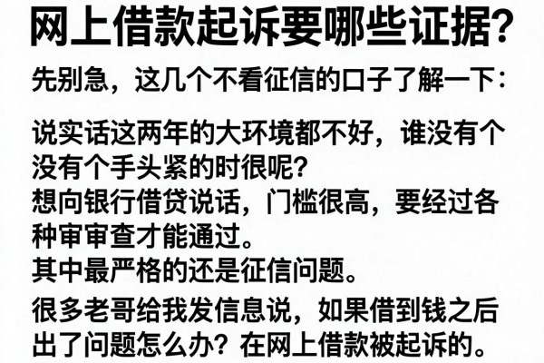 网上借款起诉要哪些证据？先别急，这几个不看征信的口子了解一下