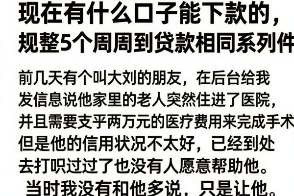 现在有什么口子能下款的，规整5个周周到贷款相同系列的软件