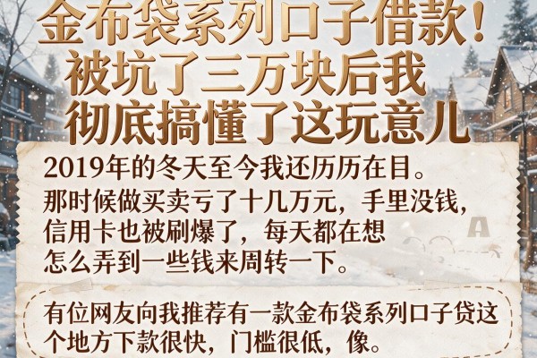 金布袋系列口子借款：被坑了三万块后我彻底搞懂了这玩意儿