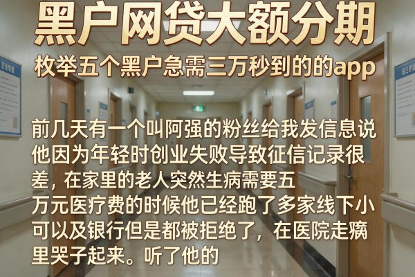 黑户网贷大额分期，枚举五个黑户急需三万秒到的的app